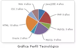 Novedades en el Cv Visual Profesional !!