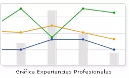 Novedades en el Cv Visual Profesional !!
