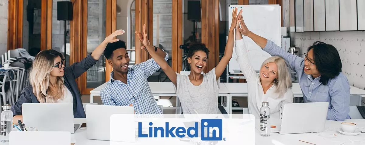 Receive LinkedIn profiles